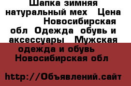 Шапка зимняя натуральный мех › Цена ­ 1 000 - Новосибирская обл. Одежда, обувь и аксессуары » Мужская одежда и обувь   . Новосибирская обл.